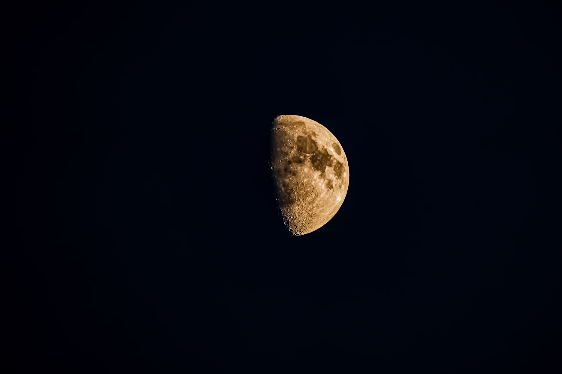 Jardiner malin avec la lune — jardinage selon les phases de la lune
