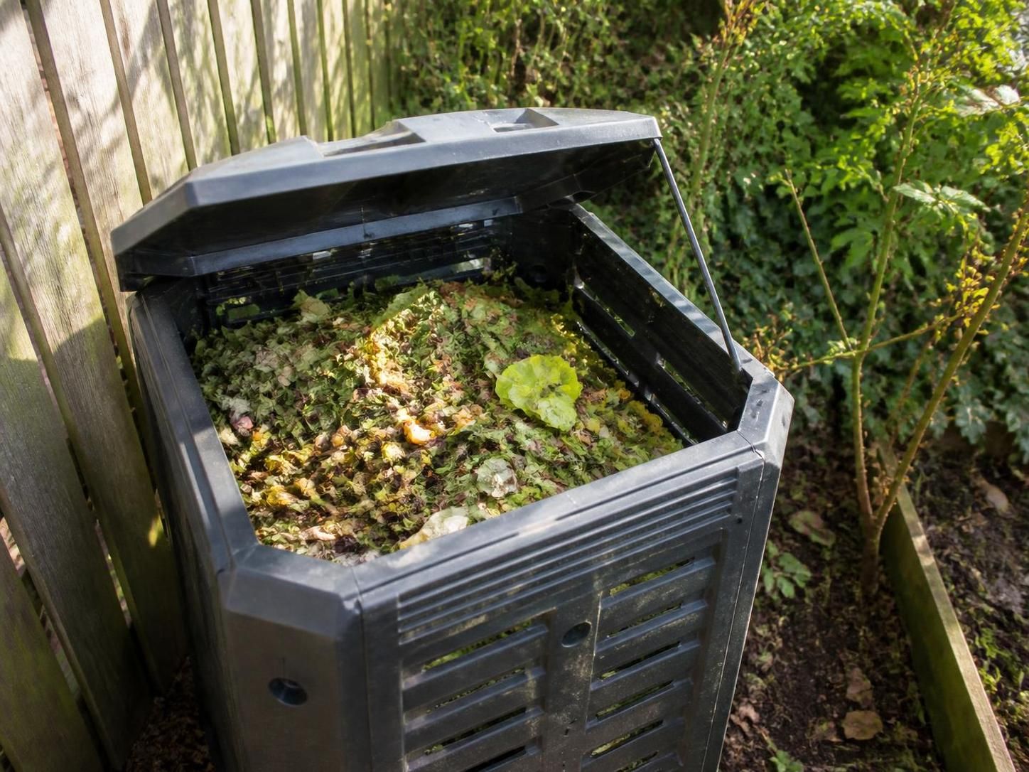 découvrez si vous pouvez mettre de la viande crue, cuite ou des os dans votre compost, et apprenez les bonnes pratiques pour un compostage efficace et sans nuisibles.