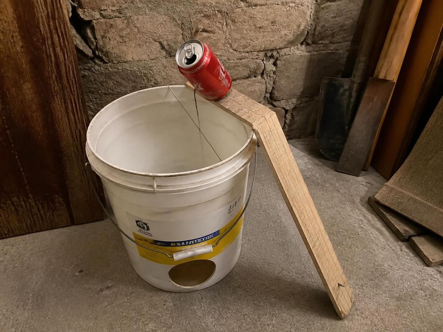 découvrez des méthodes artisanales efficaces pour fabriquer un piège à rat maison avec des objets du quotidien comme une canette, un seau et du bicarbonate.