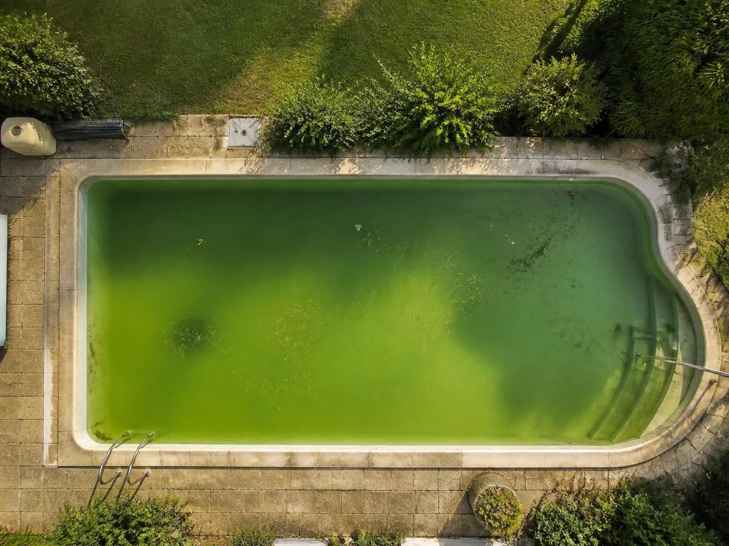 découvrez les risques pour la santé liés à la baignade dans une piscine verte, les causes possibles et les solutions pour retrouver une eau claire et saine.