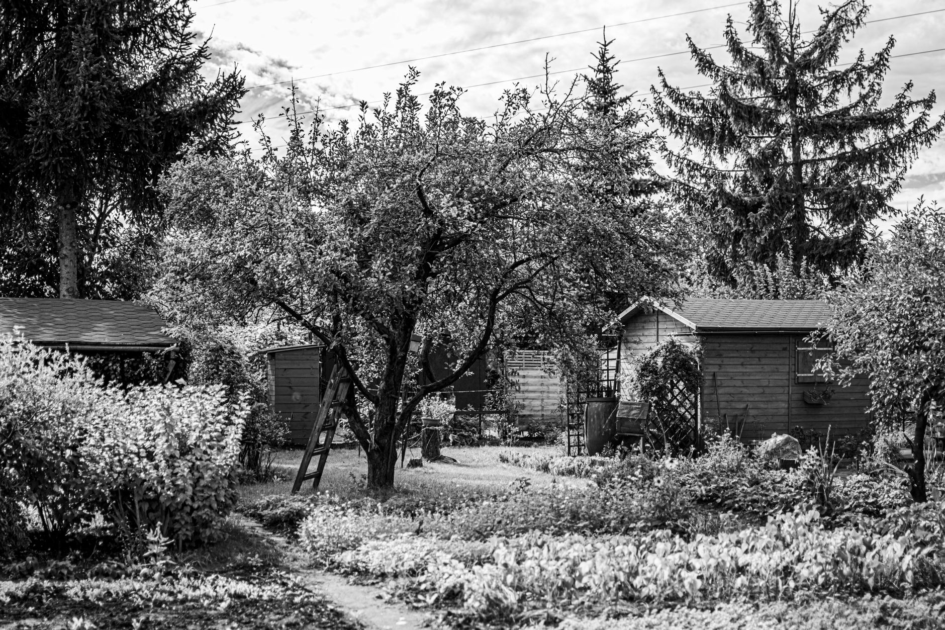 Abri de jardin construit avant 2010 et loi bâtiment actuelle : comment savoir s’il est dans les clous ? — abri de jardin ancien en bois