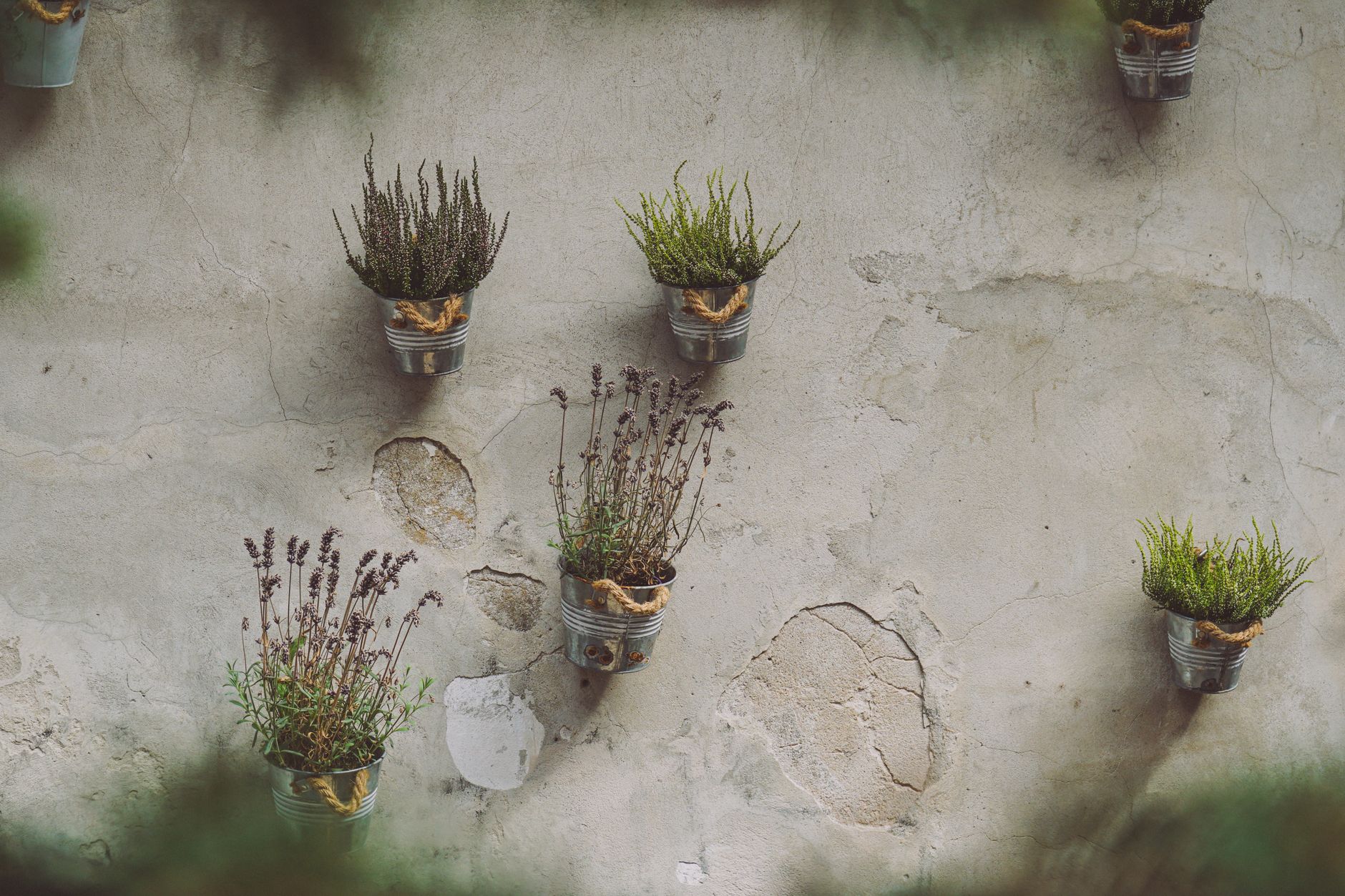 Planification d’un jardin de 50 m² et choix du style sans se tromper — idées d'aménagement petit jardin