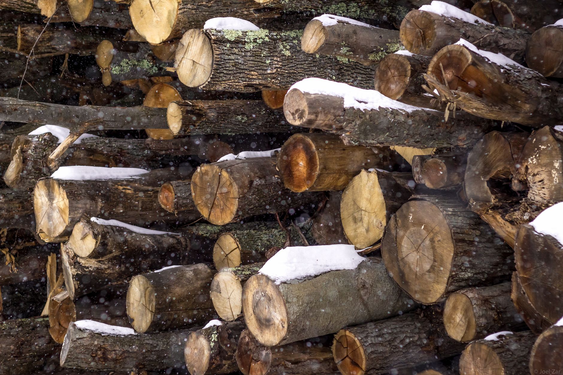 Bois de chauffage qui a pris la pluie : reconnaître un bois vraiment trop humide — bois de chauffage mouillé empilé dehors