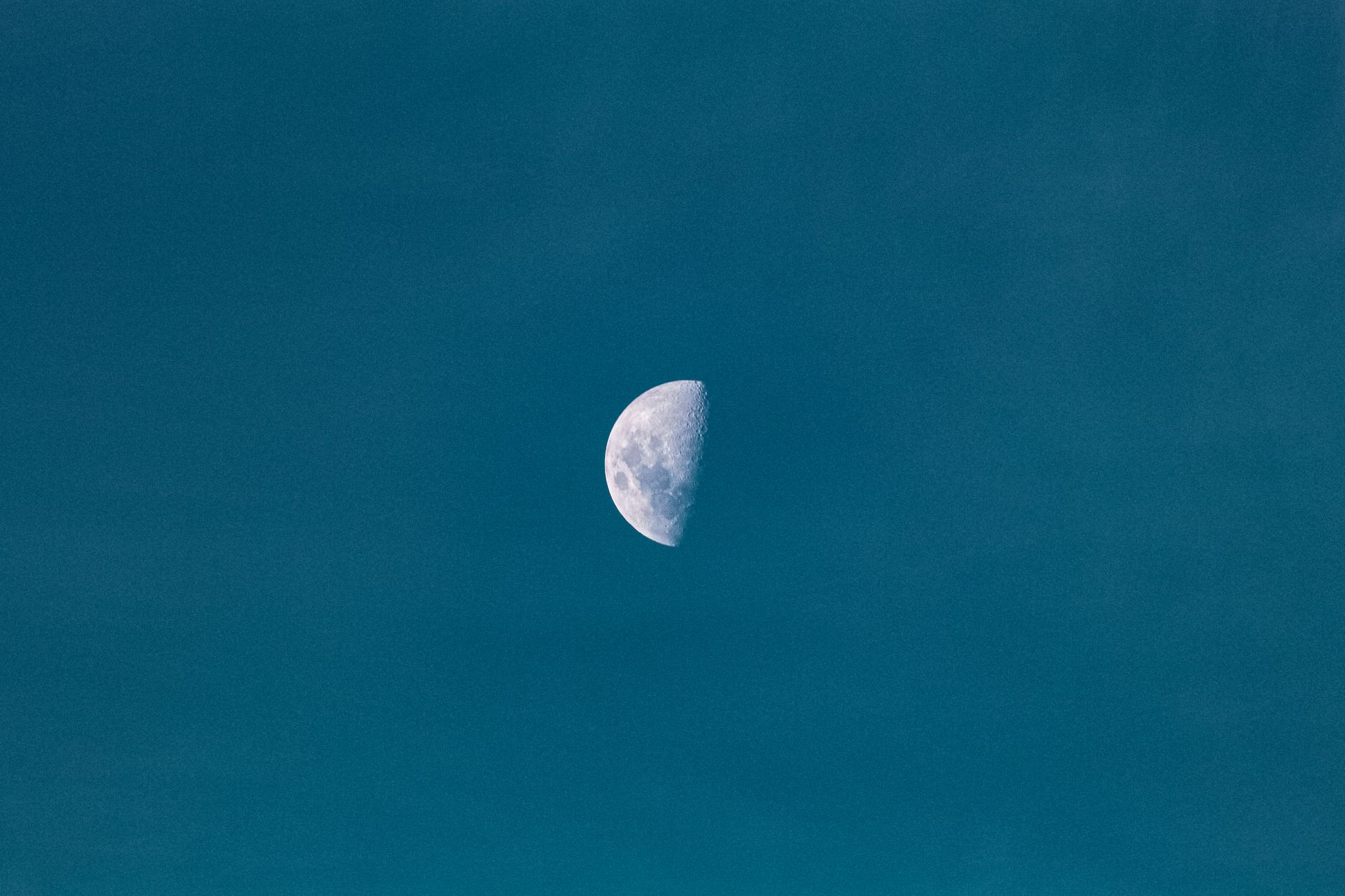 Jardiner avec la lune en avril 2026 : principes de base et organisation concrète — jardinage phases de lune semis