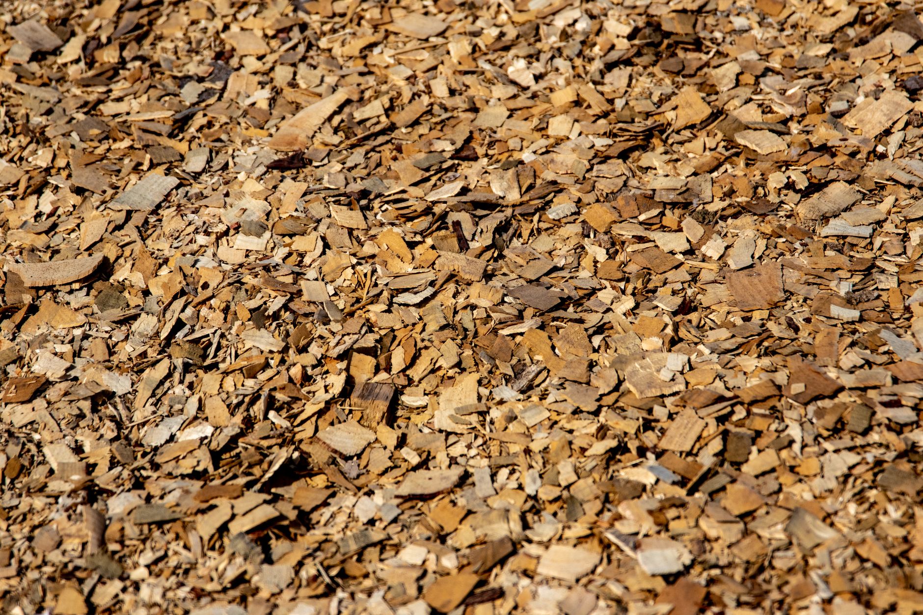 Où trouver des copeaux de bois gratuits près de chez soi : panorama des 7 meilleures sources — tas de copeaux de bois jardin