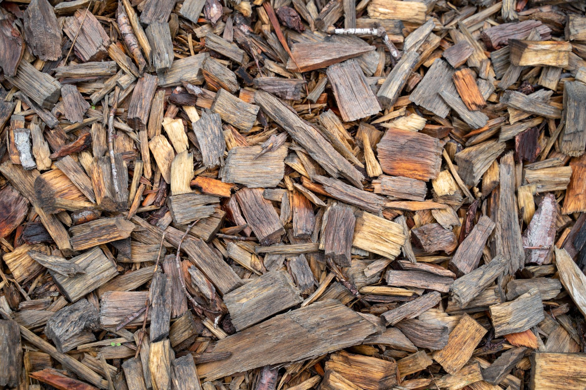 Où trouver des copeaux de — tas de copeaux de bois jardin