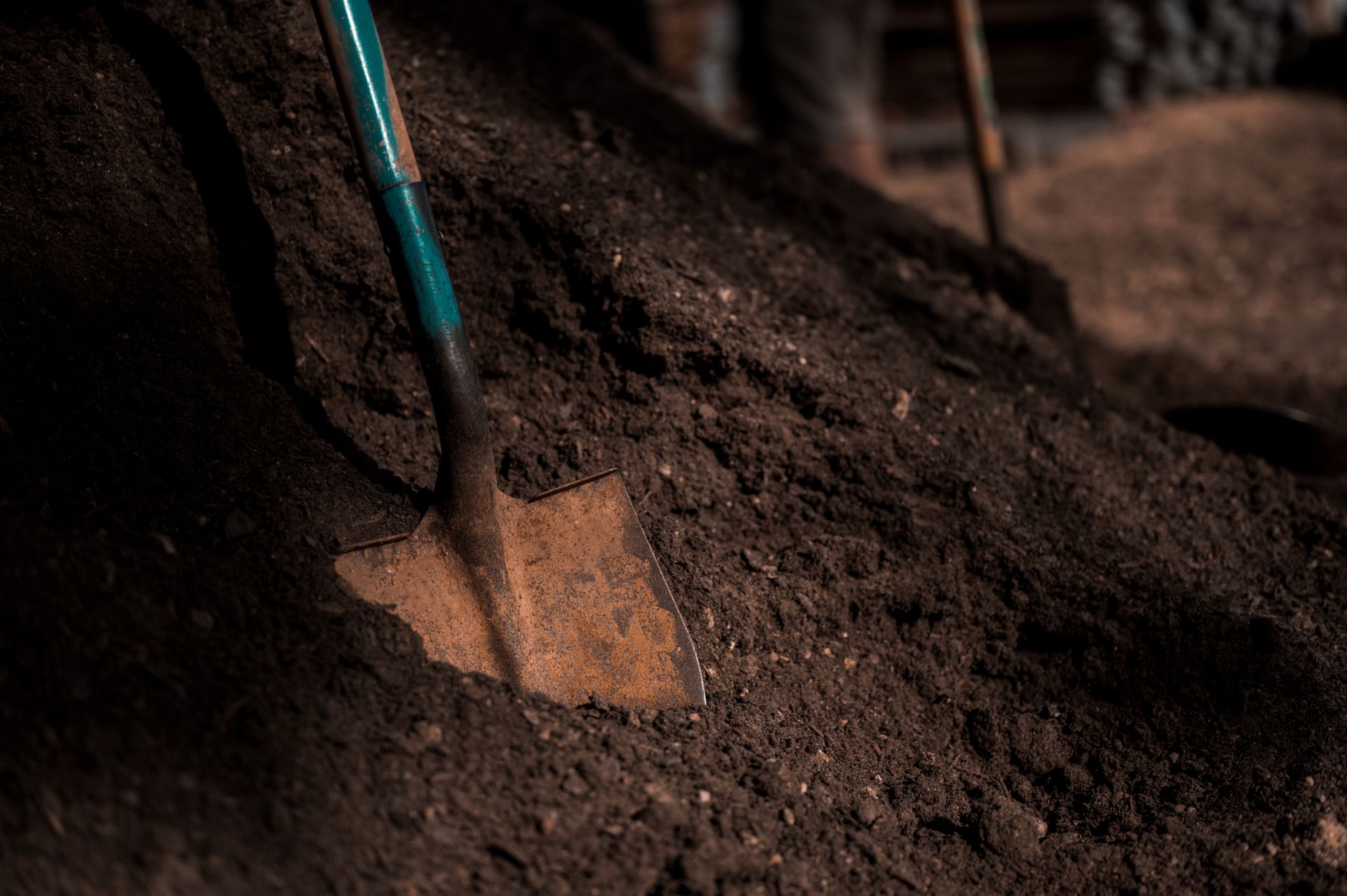 Planter directement dans du compost : ce qui se passe vraiment dans le sol — tas de compost jardin plantation