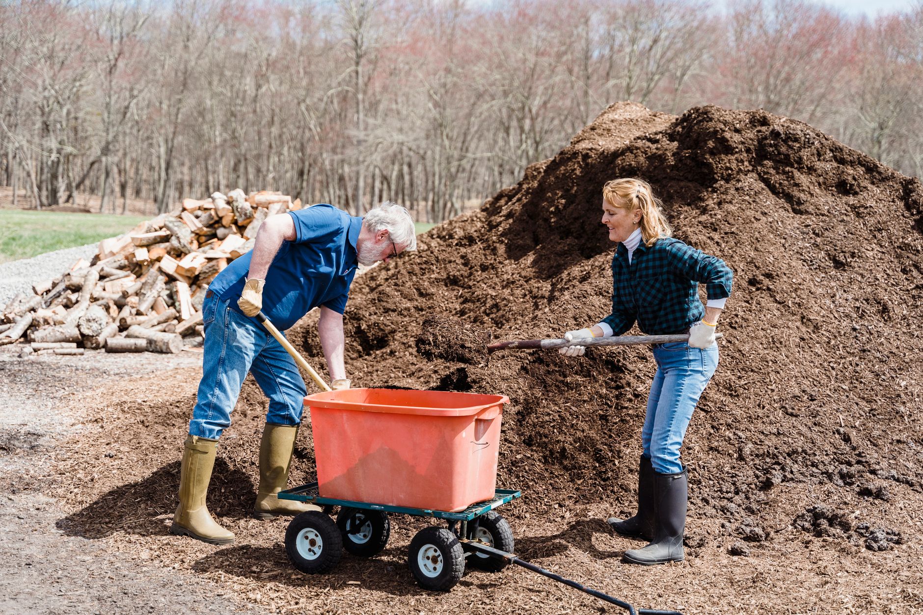 Planter ou semer directement dans — tas de compost jardin plantation
