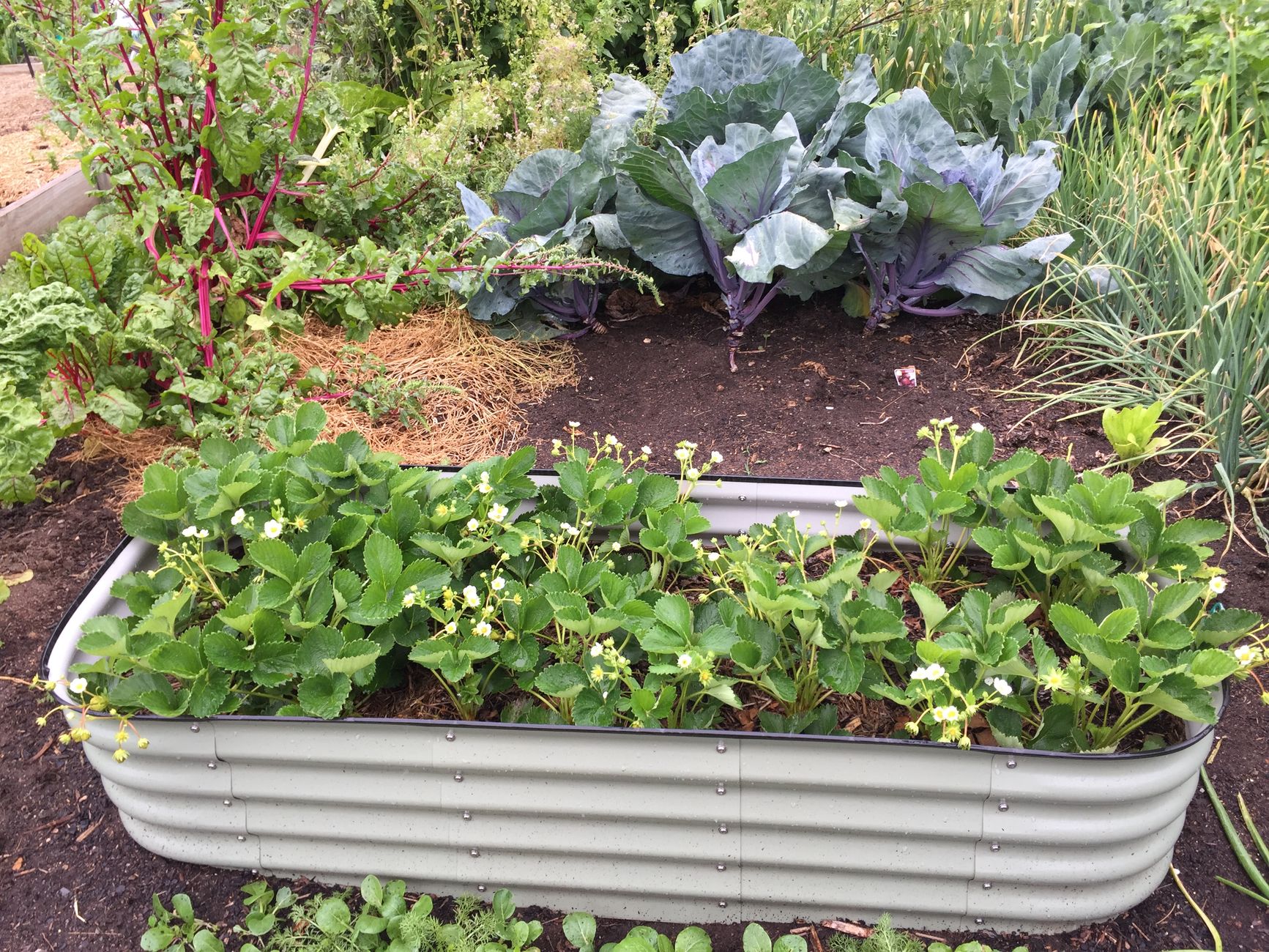 Que mettre au fond d’un carré potager surélevé posé au sol : la méthode la plus simple mais souvent mal comprise — carré potager surélevé avec couches de terre