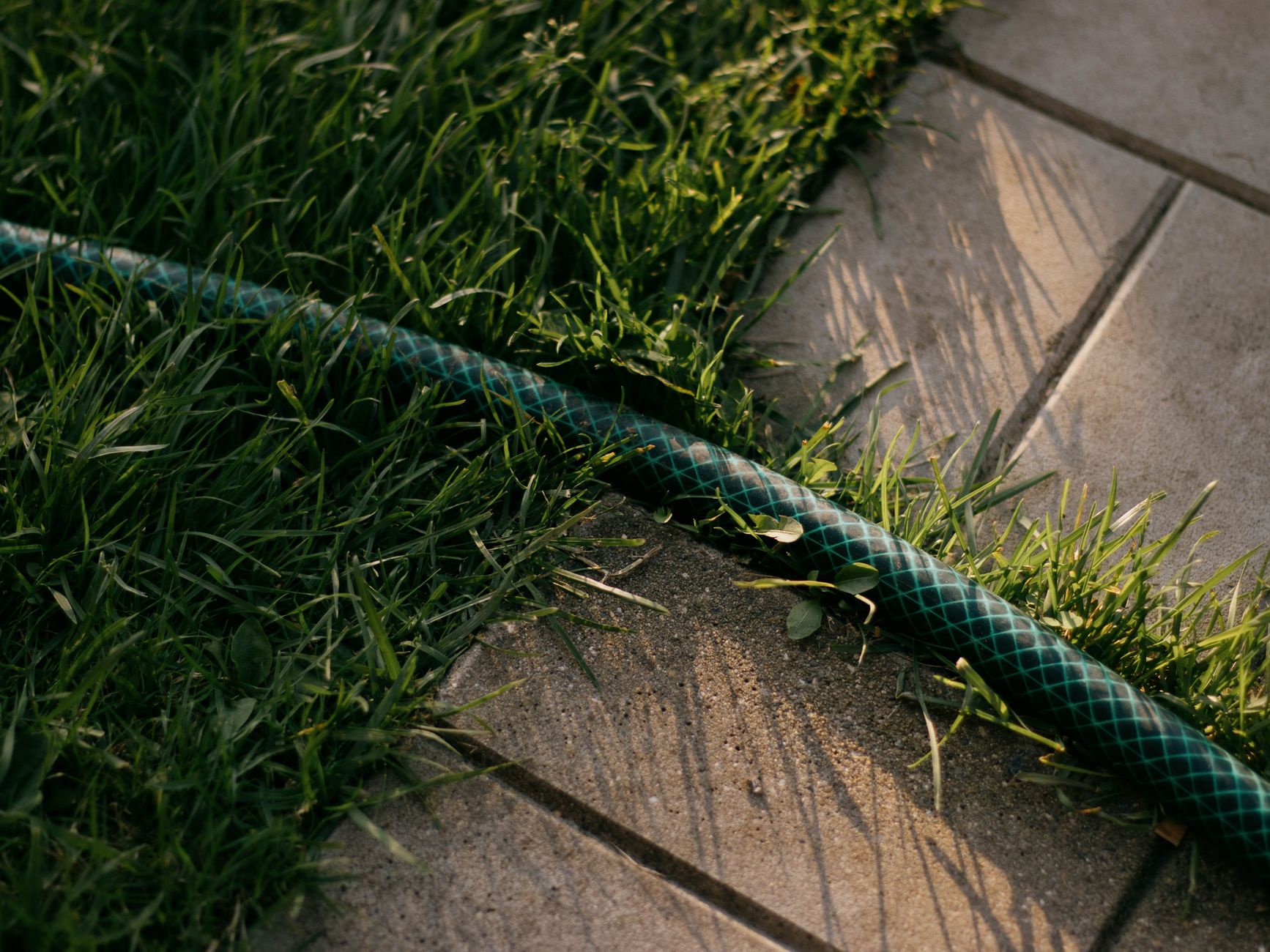 Peut-on semer du gazon sur de l’herbe existante ou des mauvaises herbes sans tout refaire ? — entretien pelouse sursemis gazon